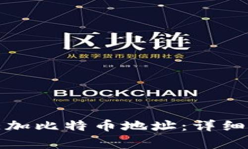 如何在钱包中添加比特币地址：详细步骤与注意事项