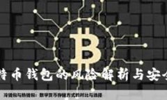 存比特币钱包的风险解析与安全指南