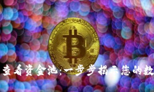如何在TP钱包中查看资金池：一步步揭示您的数字资产管理策略