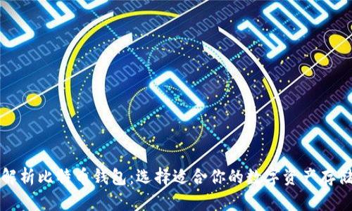 全面解析比特币钱包：选择适合你的数字资产存储方式