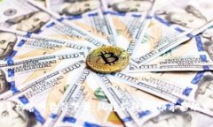 TP手机官网软件下载：玩转新科技，畅享移动生活