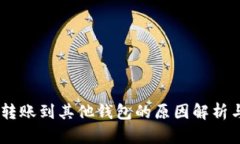 USDT无法转账到其他钱包的原因解析与解决方案