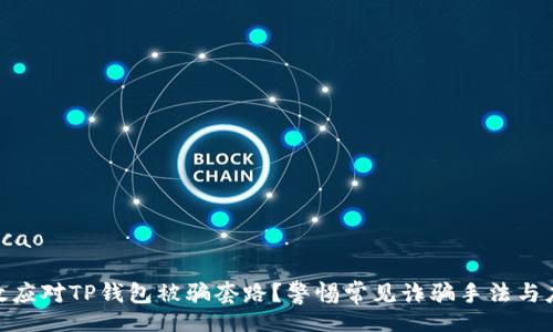 ticao/ticao

如何有效应对TP钱包被骗套路？警惕常见诈骗手法与应急措施