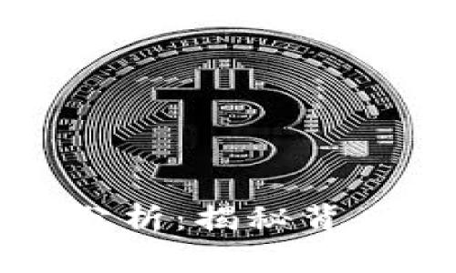 区块链钱包的技术风险分析：揭秘背后的安全隐患与应对策略