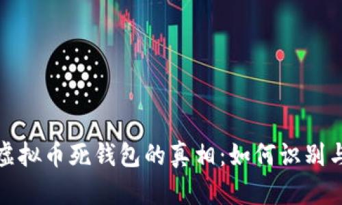 code虚拟币死钱包的真相：如何识别与应对