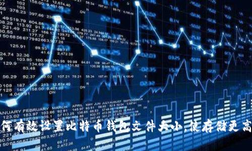 如何有效设置比特币钱包文件大小，使存储更高效