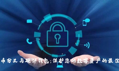 比特币分叉与硬件钱包：保护您的数字资产的最佳方案