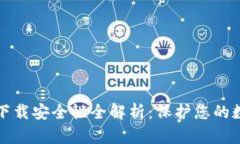 TP钱包下载安全性全解析：保护您的数字资产