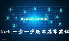 轻松安装TPWallet：一步一步教你在苹果设备上免费