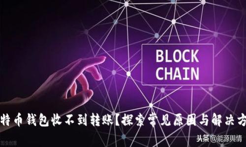 比特币钱包收不到转账？探索常见原因与解决方案