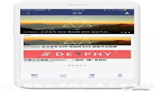 正tpwallet钱包使用指南：是否需要海外网络？