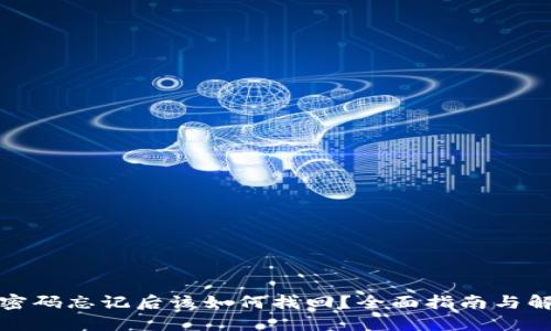 TP钱包密码忘记后该如何找回？全面指南与解决方案