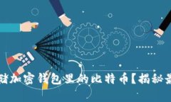 如何安全存储加密钱包里的比特币？揭秘最佳安