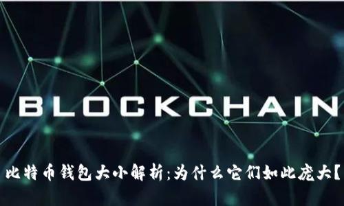 比特币钱包大小解析：为什么它们如此庞大？