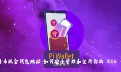 比特币现金钱包地址：如何安全管理和使用你的