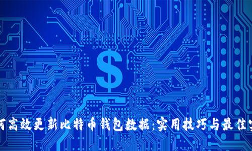 如何高效更新比特币钱包数据：实用技巧与最佳实践