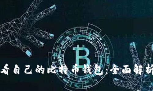 如何轻松查看自己的比特币钱包：全面解析与实用指南