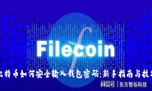 比特币如何安全输入钱包密码：新手指南与技巧