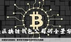 打造安全财富：区块链钱包公司的全景分析与创