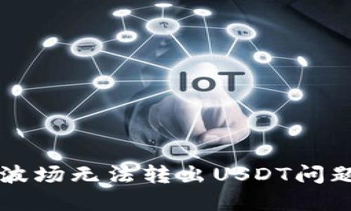 解决TP钱包波场无法转出USDT问题的全面指南