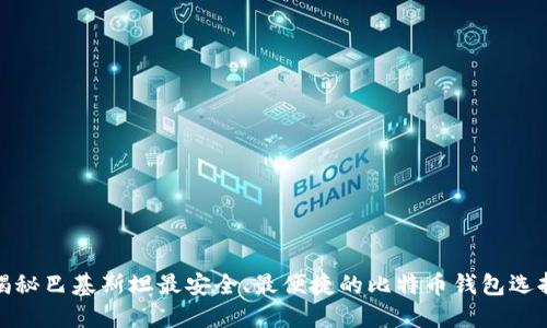 揭秘巴基斯坦最安全、最便捷的比特币钱包选择