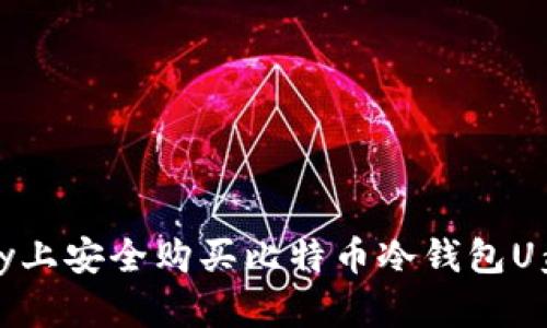 如何在eBay上安全购买比特币冷钱包U盘：终极指南