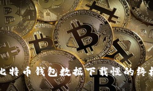 解决比特币钱包数据下载慢的终极指南