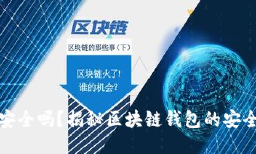 TP钱包不连网安全吗？揭秘区块链钱包的安全性与隐私保护