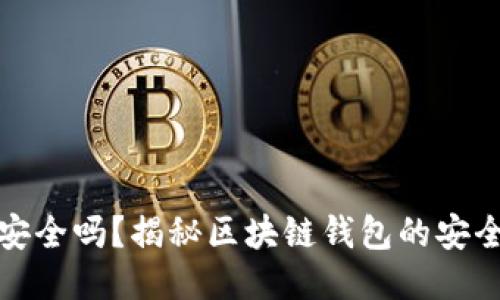 TP钱包不连网安全吗？揭秘区块链钱包的安全性与隐私保护