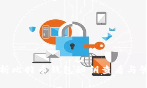 全面解析比特币钱包秘钥查看与管理方法