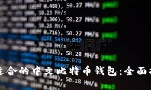 如何选择适合的中文比特币钱包：全面指南与推荐