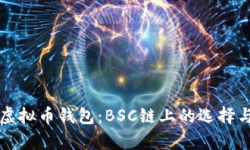 全面解析虚拟币钱包：BSC链上的选择与使用指南