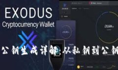 比特币钱包公钥生成详解：从私钥到公钥的完整