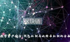 确保数字资产安全：钱包私钥与比特币私钥的全