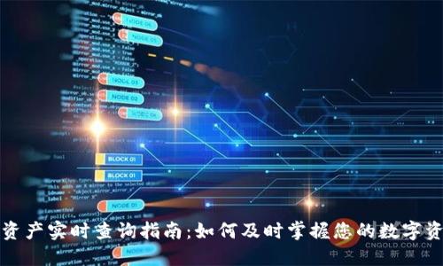 TP钱包资产实时查询指南：如何及时掌握您的数字资产动态