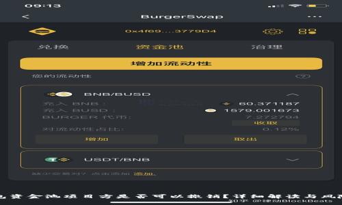 TP钱包资金池项目方是否可以撤销？详细解读与风险分析