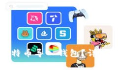 如何安全地将比特币导入钱包？详细步骤与注意