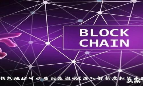 ### USDT钱包地址可以查到是谁吗？深入解析虚拟货币隐私与透明性