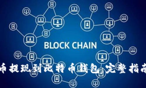 如何将莱特币提现到比特币钱包：完整指南与实用技巧