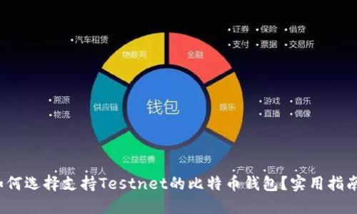 题目：如何选择支持Testnet的比特币钱包？实用指南及推荐
