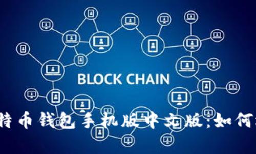 全面解析比特币钱包手机版中文版：如何选择与使用？