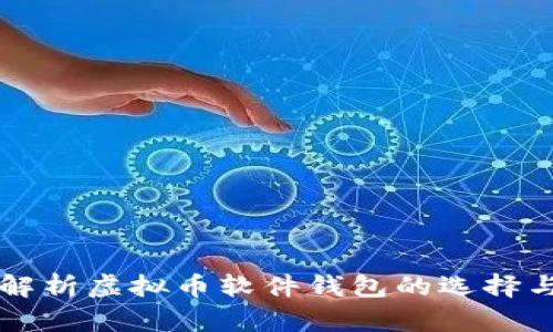 全面解析虚拟币软件钱包的选择与使用