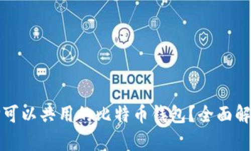 如何选择可以共用的比特币钱包？全面解析与推荐