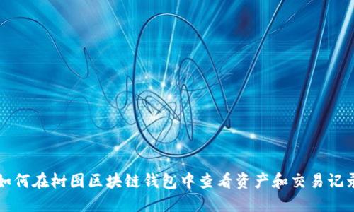 如何在树图区块链钱包中查看资产和交易记录