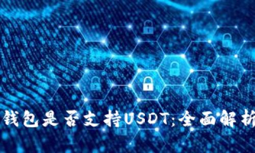 比特币钱包是否支持USDT：全面解析与指南