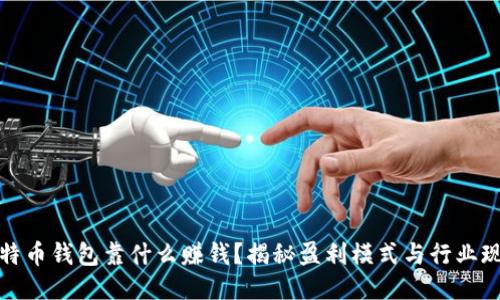 比特币钱包靠什么赚钱？揭秘盈利模式与行业现状