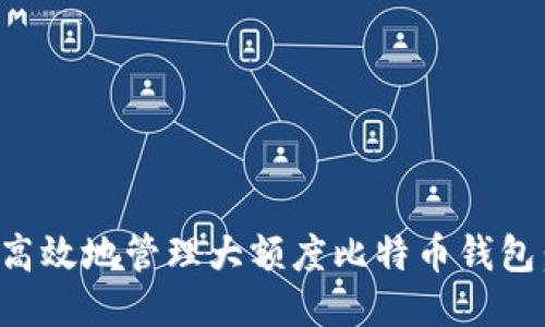 如何安全高效地管理大额度比特币钱包：用户指南