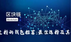 USDT币支持的钱包推荐：最佳选择及其使用指南