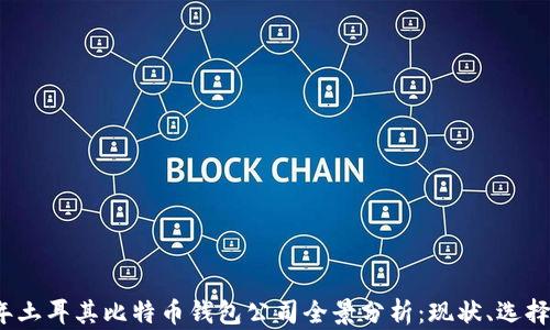 
2023年土耳其比特币钱包公司全景分析：现状、选择与未来