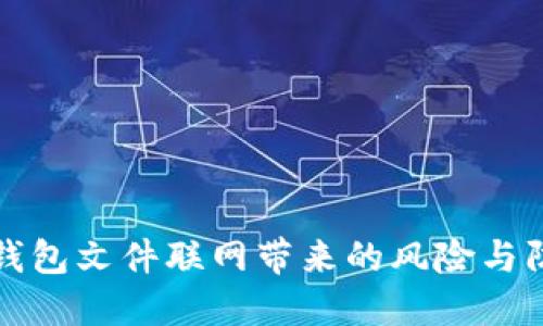 比特币钱包文件联网带来的风险与防护策略